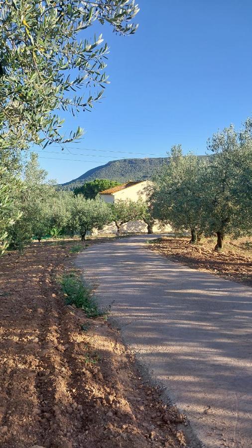 Casa Rural Cal Marti El Pla de Manlleu エクステリア 写真
