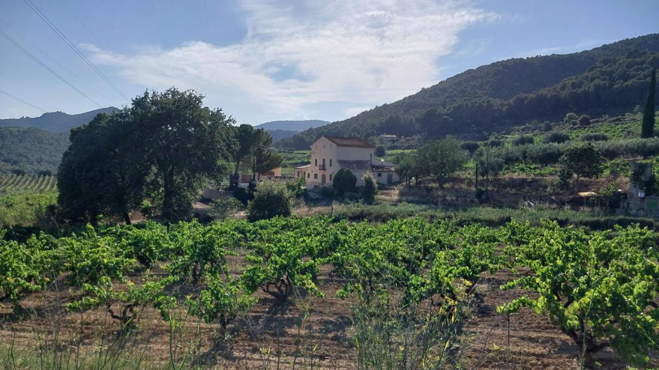 Casa Rural Cal Marti El Pla de Manlleu エクステリア 写真