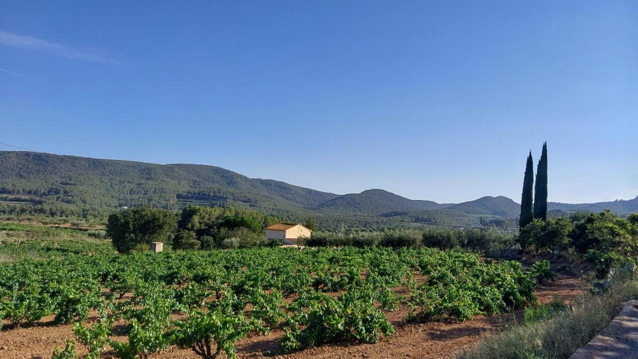 Casa Rural Cal Marti El Pla de Manlleu エクステリア 写真