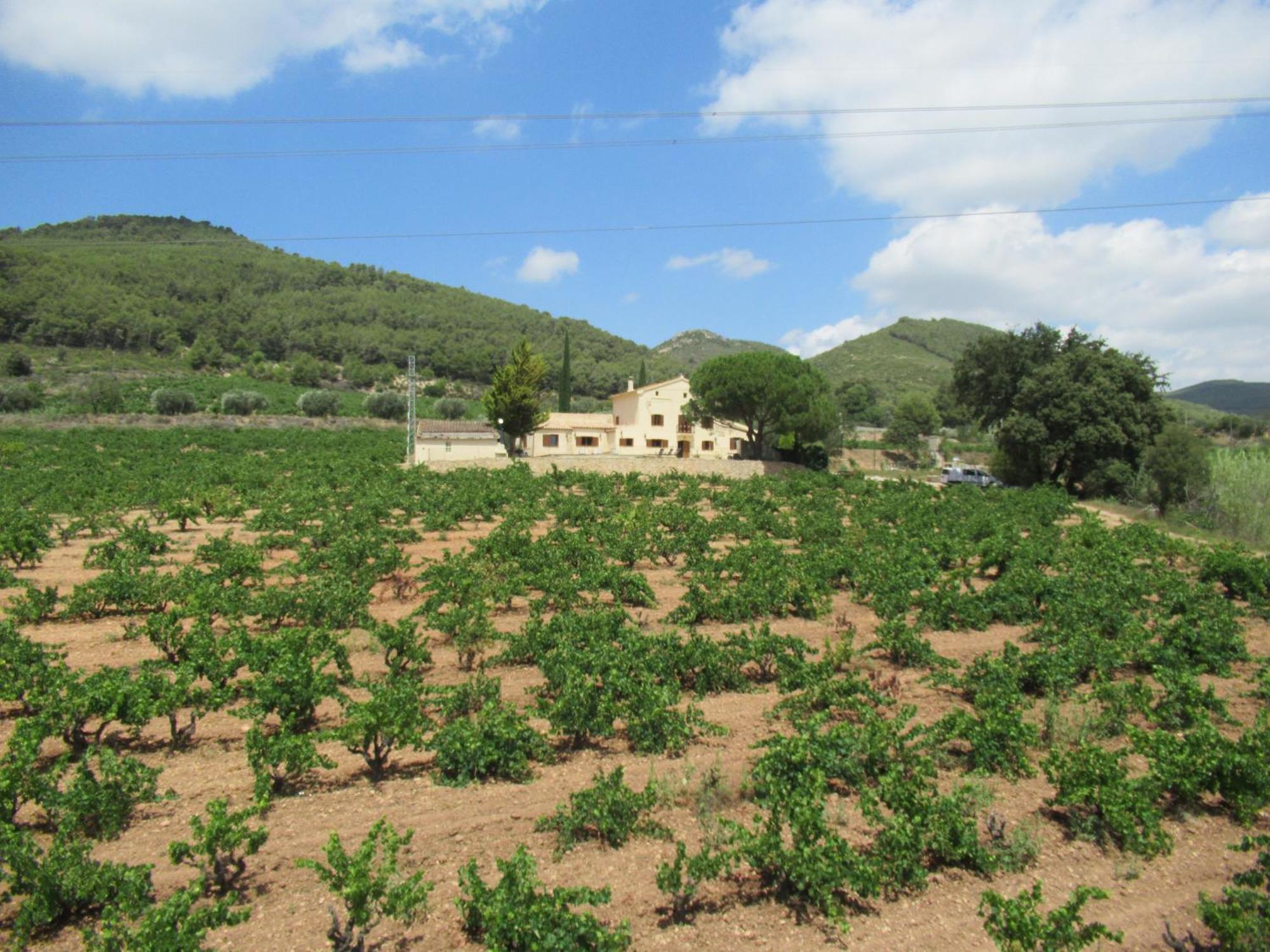 Casa Rural Cal Marti El Pla de Manlleu エクステリア 写真