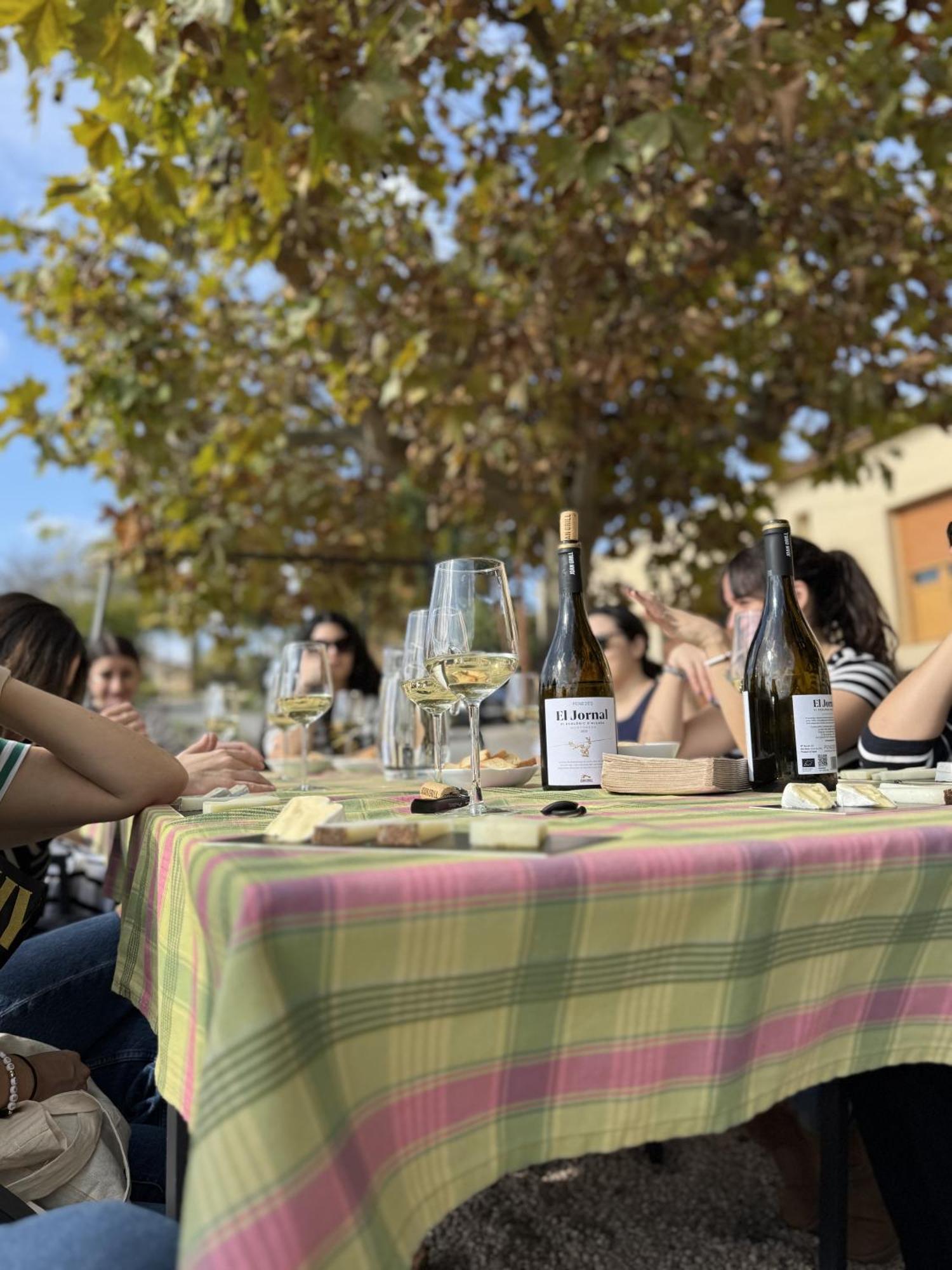 Casa Rural Cal Marti El Pla de Manlleu エクステリア 写真